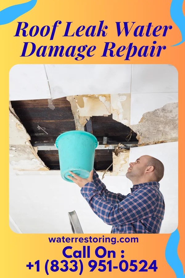 Roof Leak Water Damage Repair in Union Valley, TX