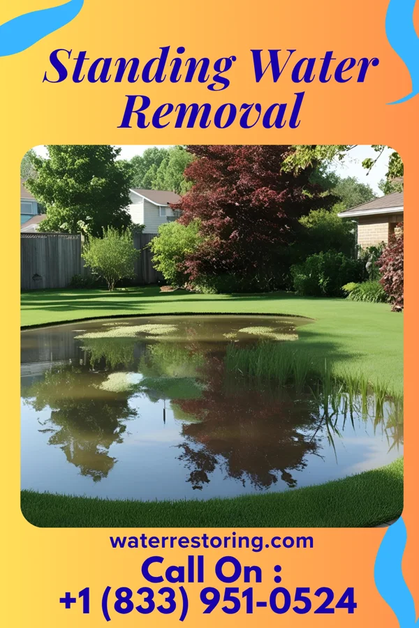 Standing Water Removal in Union Valley, TX